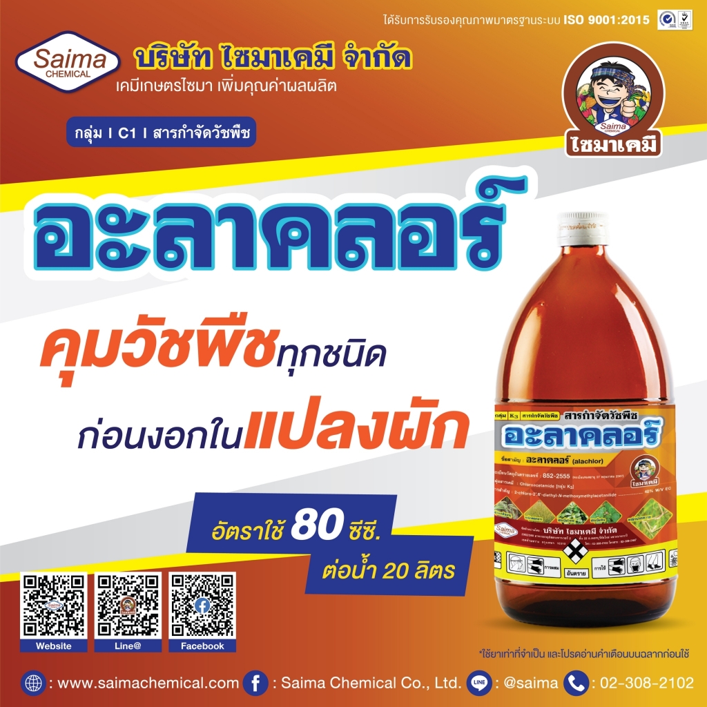 My Image 35