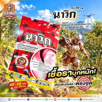 นาวิก