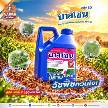 บาสโซน