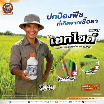 เฮกไซด์