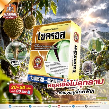 ไซบีรา