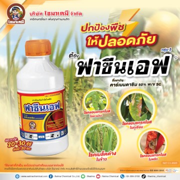 ฟาซีนเอฟ